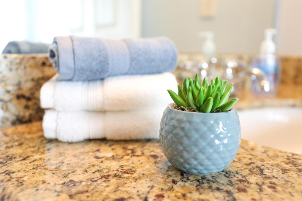 Dolphin Bay In Boca Ciega Resort - 2Br, Pool, Bay View Αγία Πετρούπολη Εξωτερικό φωτογραφία